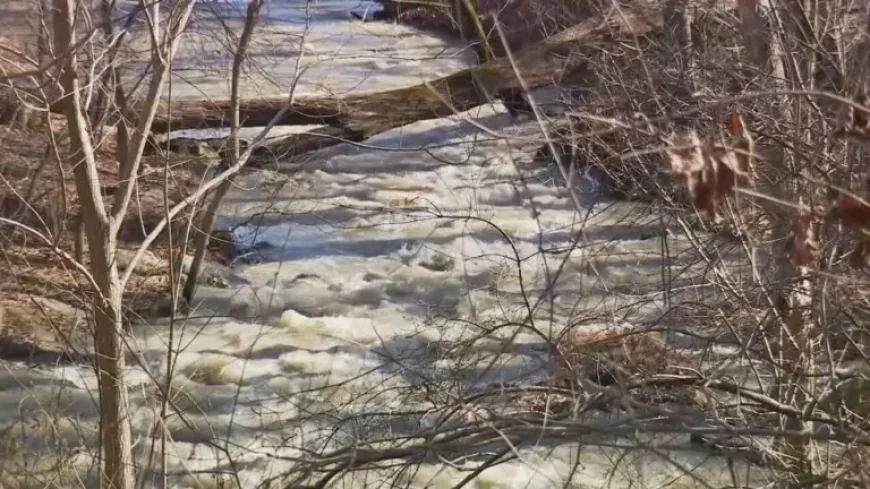 Sewage Remnants, Including Toilet Paper, Remain Post-Pipe Collapse