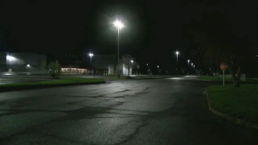 Teens Charged in Tinseltown Movie Theater Shooting Incident