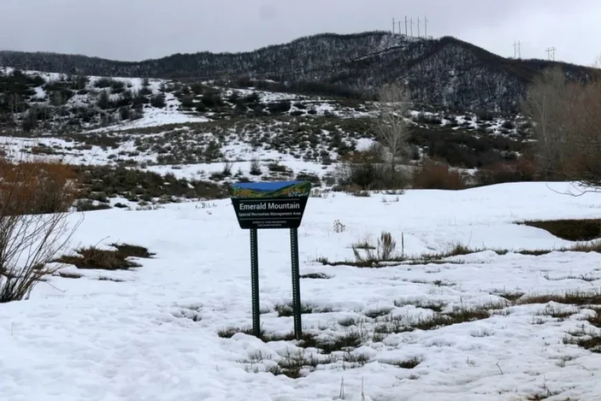 Colorado Plane Crash Claims Four Lives, Including Tennessee Businessmen