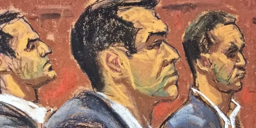 Witness Testifies: Alexander Brothers’ Assault at Hamptons Party Observed