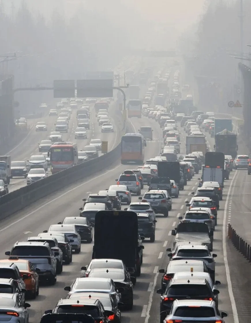 Warm Weather Continues: Second Day of Lunar New Year Reaches 19°C