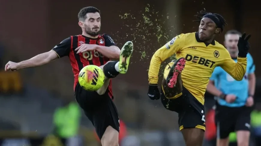 FA Cup: Grimsby Town vs. Wolves Betting Odds and Predictions