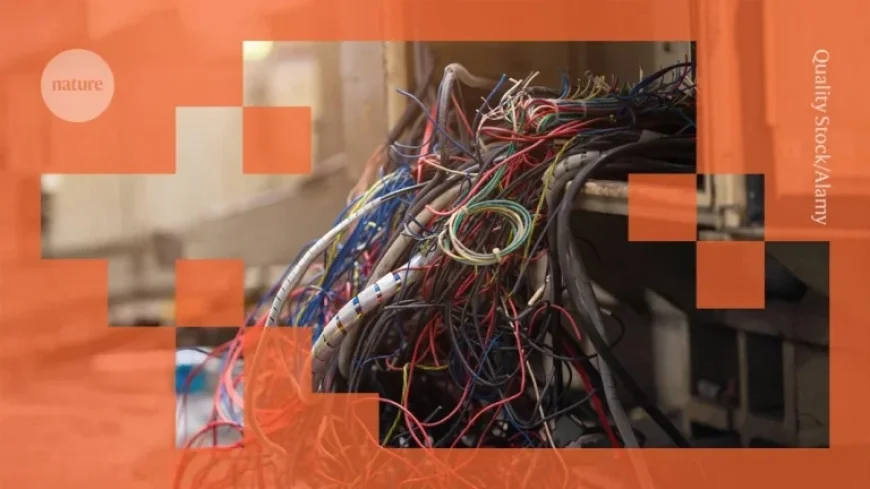 AI Mismanagement Sparks Crisis in Computer Science