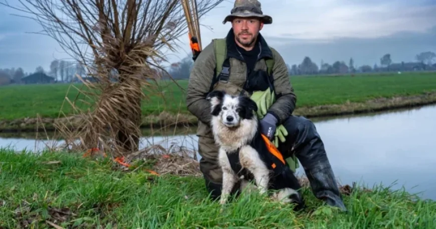 Tracker Dog Pip Aids in Detecting Invasive Muskrats