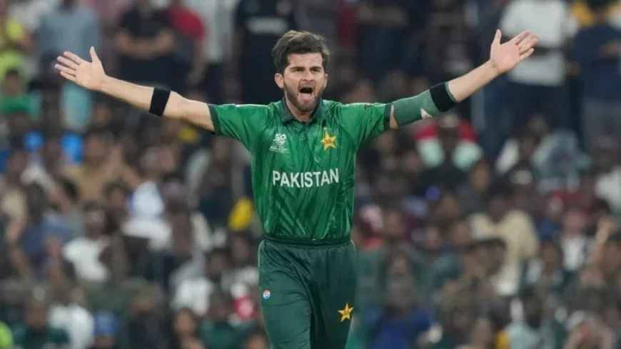 Shaheen Shah Afridi Faces Criticism After Costly Spell in Colombo