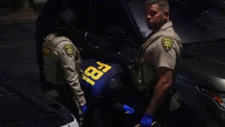 Crockett vs. Talarico: Comparing Senate Candidates’ Stances on Key Issues