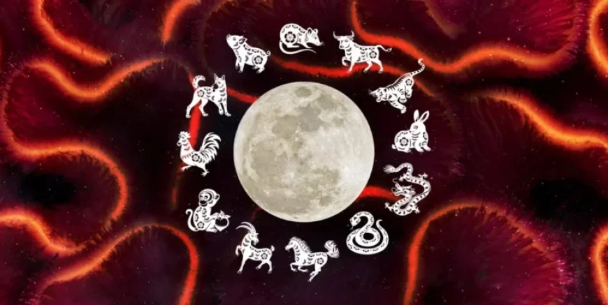 Discover Your Chinese Zodiac: What It Reveals About You This New Year