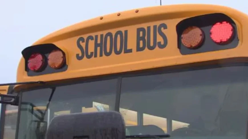 Dense Fog Halts Rural Bus Routes Tuesday Morning