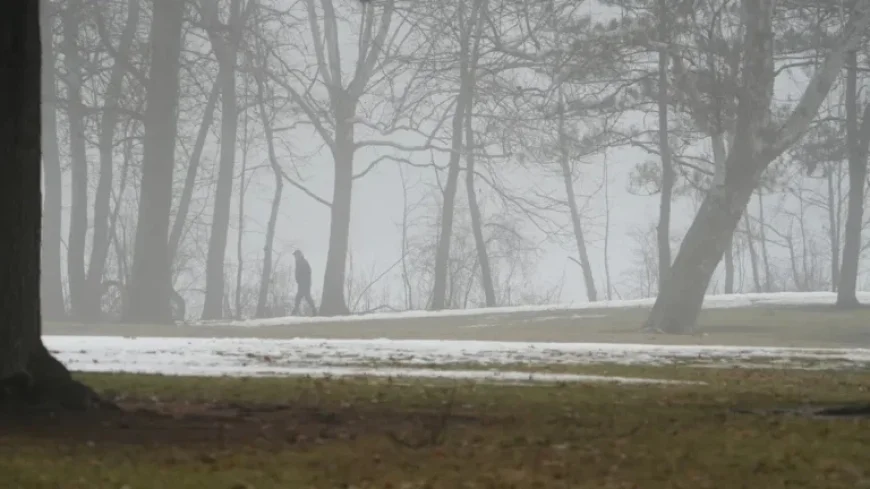 Emmet County Faces Freezing Fog in Tuesday Weather Forecast