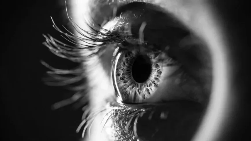 Axpaxli Surpasses Eylea in Wet AMD Drug Study