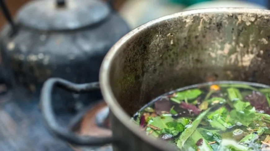 Study Suggests DMT May Effectively Treat Depression