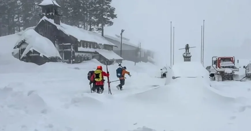 Avalanche Near Lake Tahoe Leaves 10 Skiers Missing, 6 Stranded
