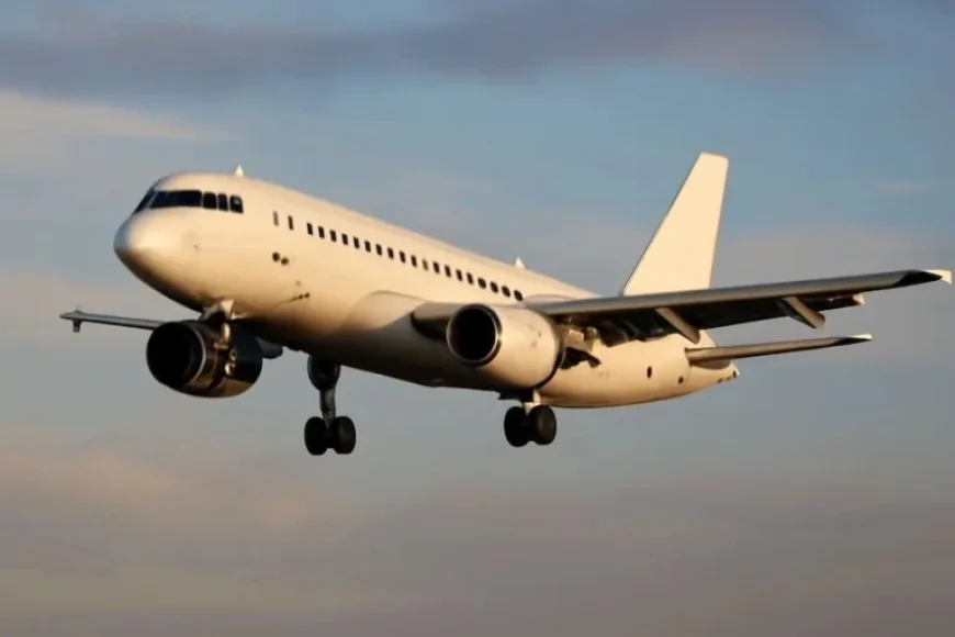 Alaska Airlines Launches Comfortable Seoul Flights, Opening Gateway to Asia