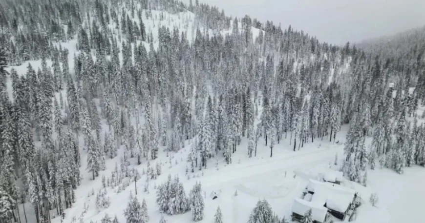 Rescue Teams Battle Harsh Weather to Find 10 Skiers in Sierra Avalanche