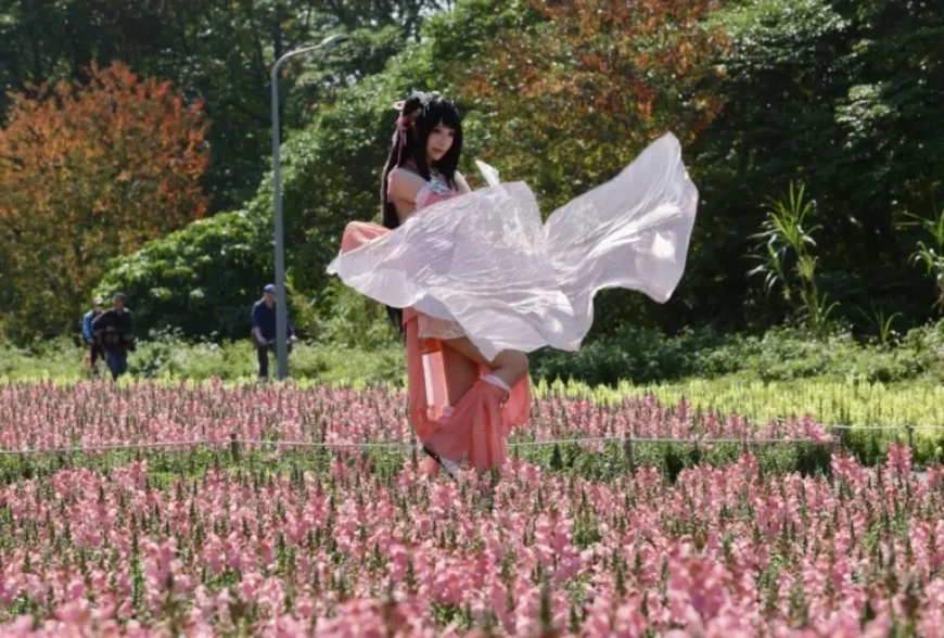 Cooling Front Reaches Goal: Clear, Warm Weather Begins Across Taiwan