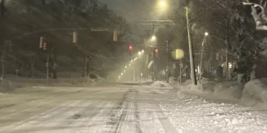 Snowstorm Shutters Schools and Businesses in St. John’s