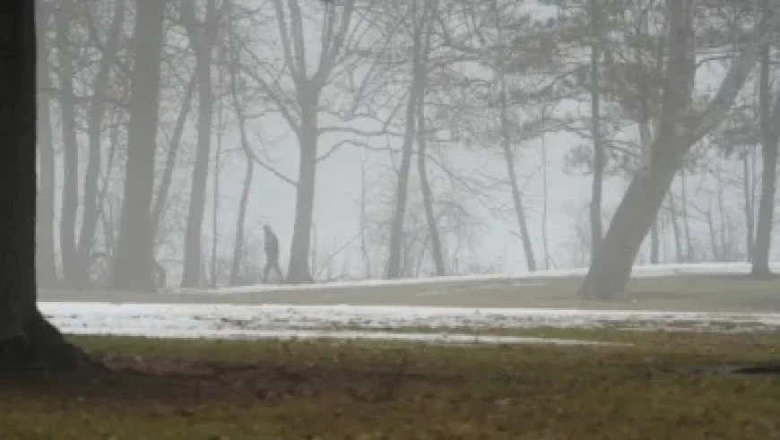 Guelph Students Develop Real-World Solutions for Saugeen Shores