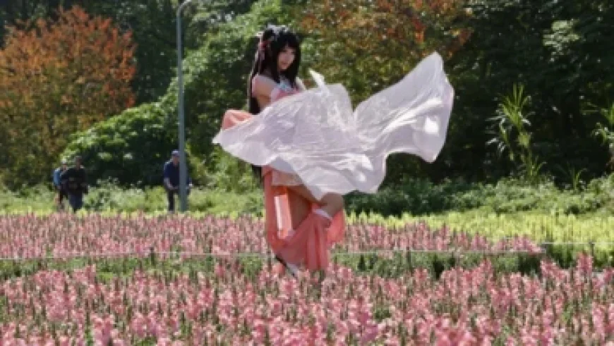 Defense Strategy to Boost Investment, Experts Assert