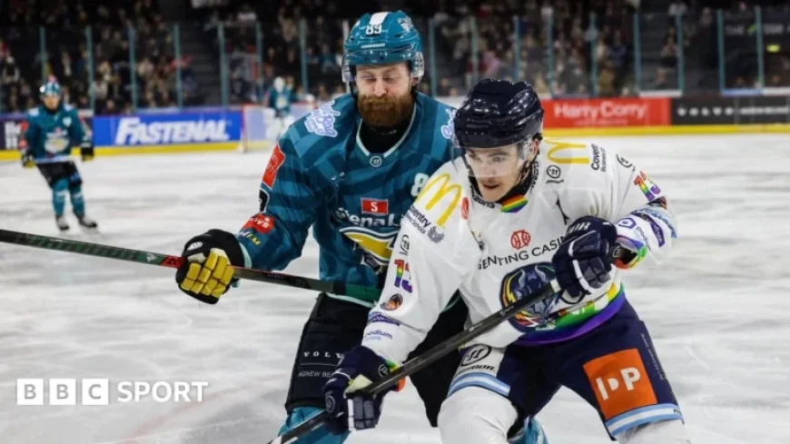 Flight Cancellation Delays Belfast Giants vs Coventry Blaze Challenge Cup Match