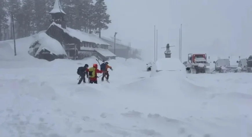 California Avalanche: Search Ongoing as Eight Skiers Found Dead