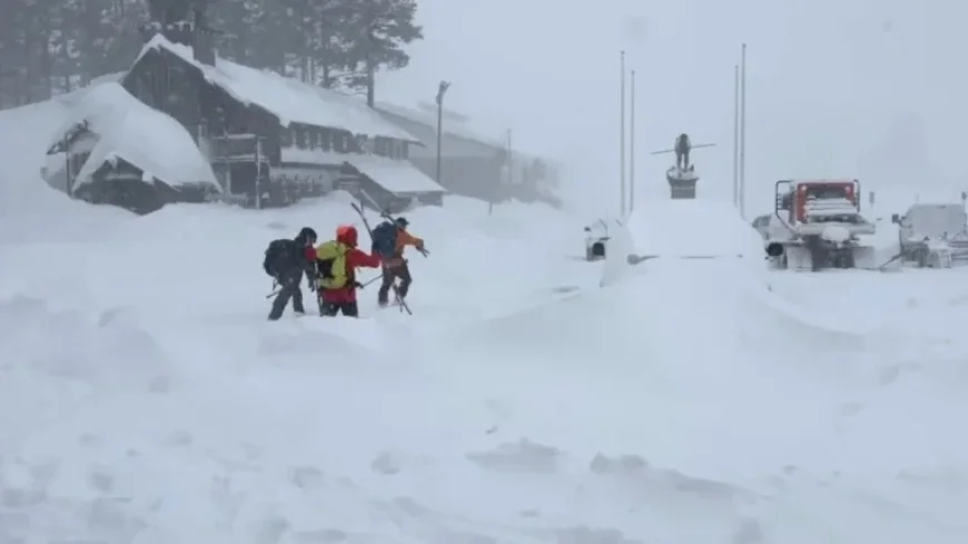 California Avalanche Claims 8 Skiers; 1 Still Missing