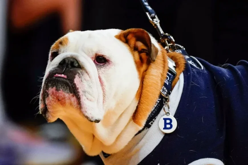 Watch Georgetown vs. Butler Live: TV Channel, Time, and Free Stream Information