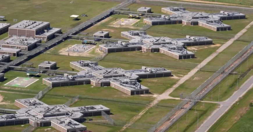 Senators Condemn Rising ICE Detention Deaths Due to Inadequate Medical Care