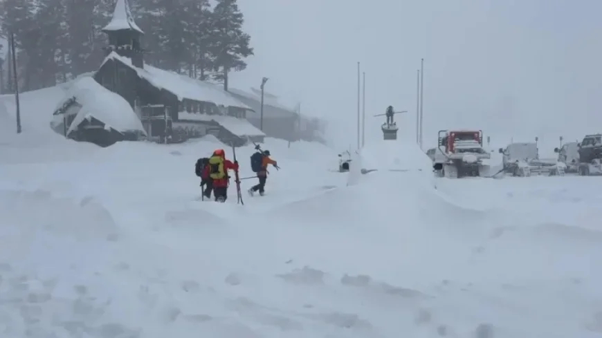 Avalanche Warnings Ignored: Fatalities Mount Despite Safety Alerts