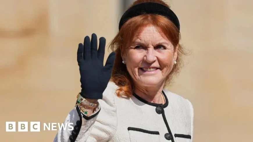 Sarah Ferguson’s Six Companies Face Dissolution