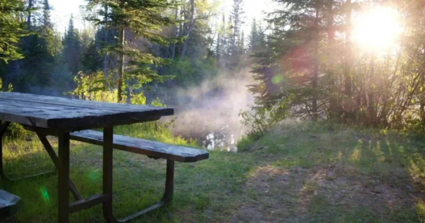 Ontario Parks Booking Woes: Campers Slam Broken Reservation System