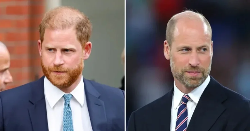Prince Harry Engages Intermediary to Reconnect with Prince William