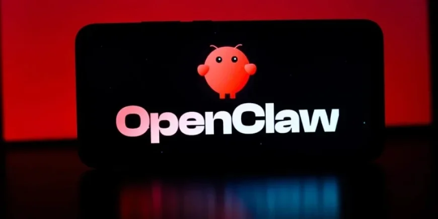 OpenClaw Founder Criticizes EU Rules, Relocates to US