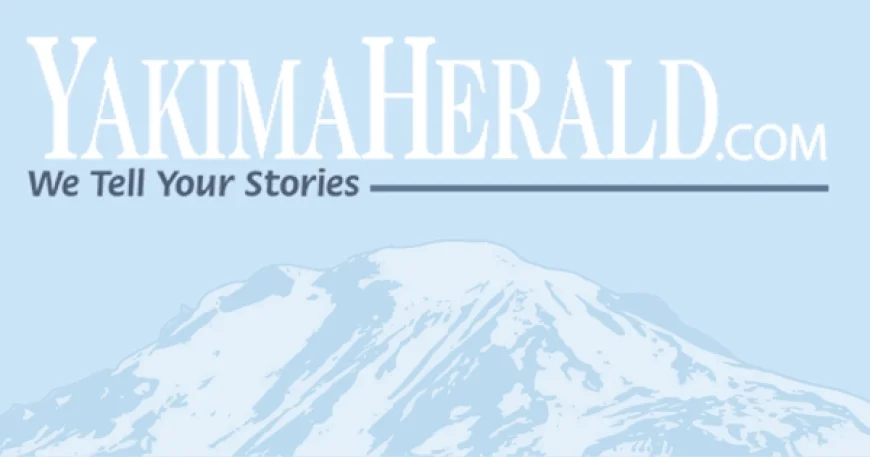 Jennifer Garner Secures Judy Greer for ‘The Last Thing He Told Me’ Season 2