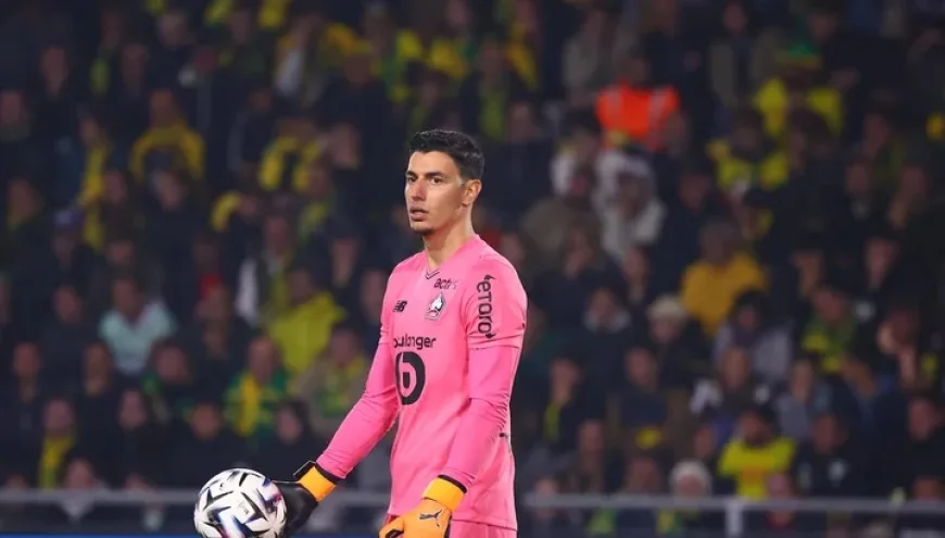 Lille vs Red Star Belgrade: Preview, Predictions, Team News, Lineups