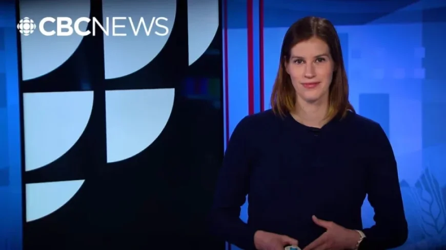 Top Stories and Highlights of February 19