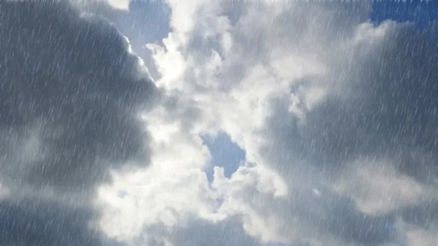 Overcast Morning Leads to Rainy Afternoon; More Showers Expected Tomorrow