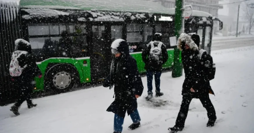 New Wave of Freezing Snowstorms to Sweep Nation, Warns ANM