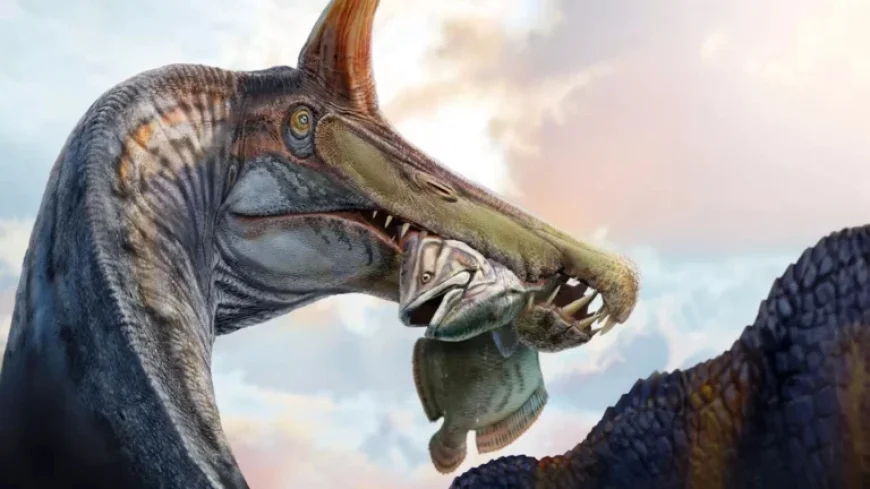 New Spinosaurus Discovery Revives Historic Debate