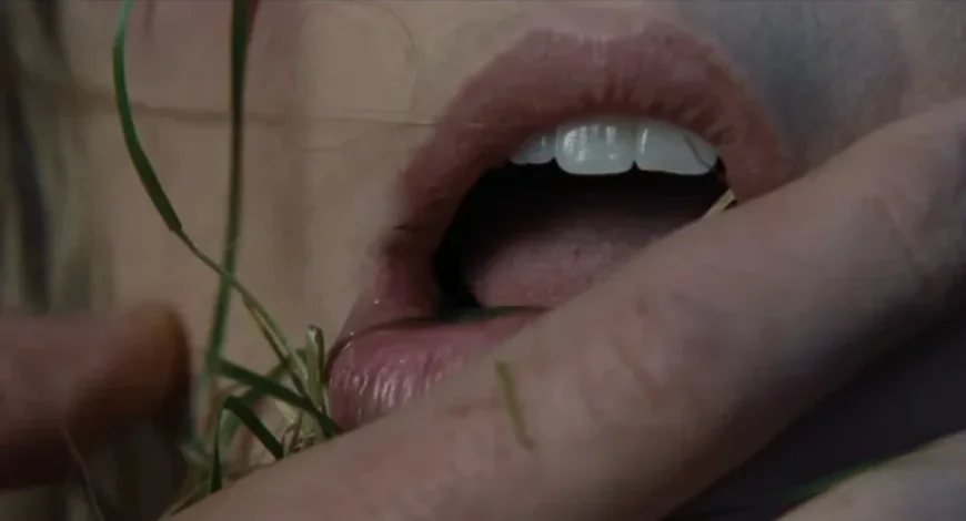 Emerald Fennell Embarks on Moor Tour to Surprise Audiences