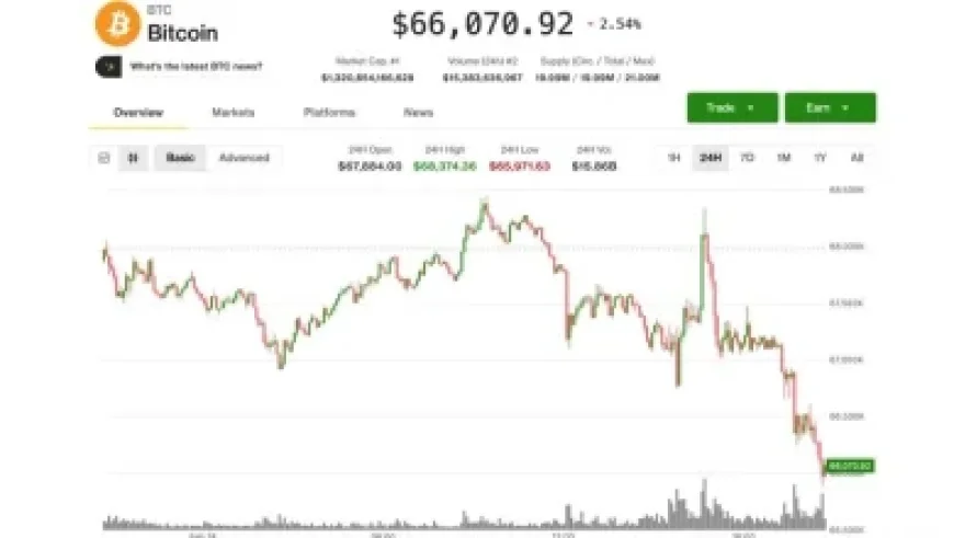 BTC Stabilizes at $67,000 Amid Demand for Crash Protection
