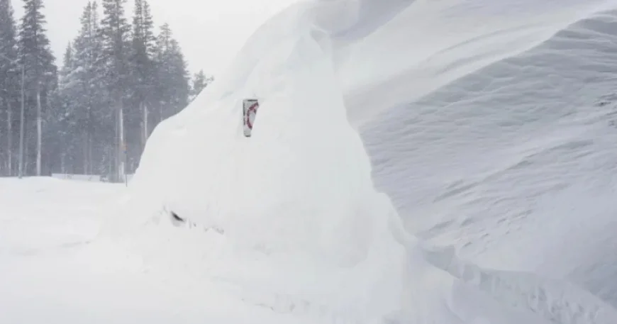 Victims of Sierra Avalanche: Mothers, Adventurers, Sisters Remembered