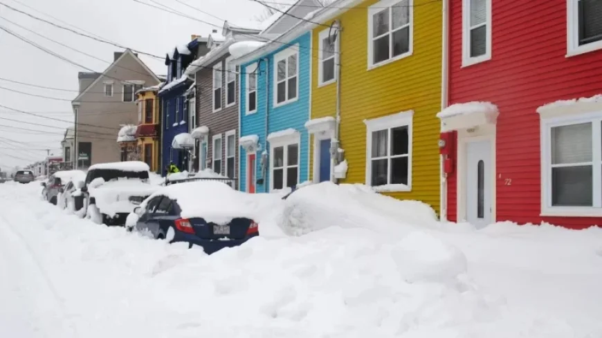 Severe Weather Forces School Closures in St. John’s Due to Snow and Wind