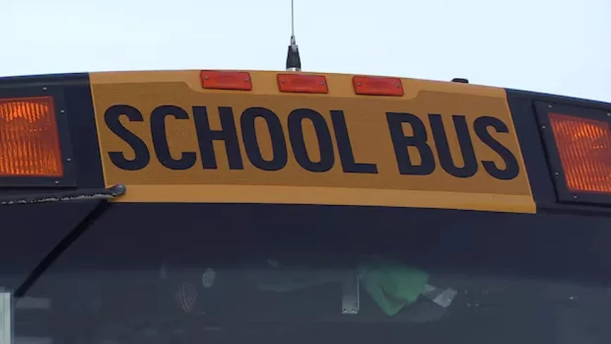 Eastern Ontario School Buses Cancelled, Ottawa Remains Operational