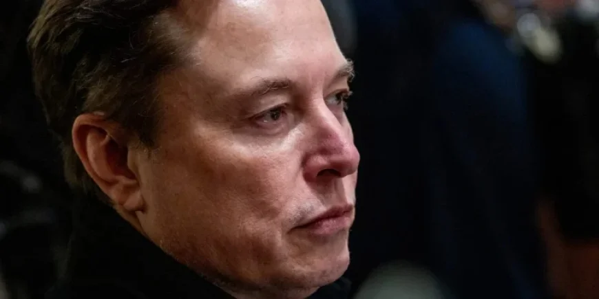 Elon Musk Prepares XAI for Grok Expansion and Upcoming IPO