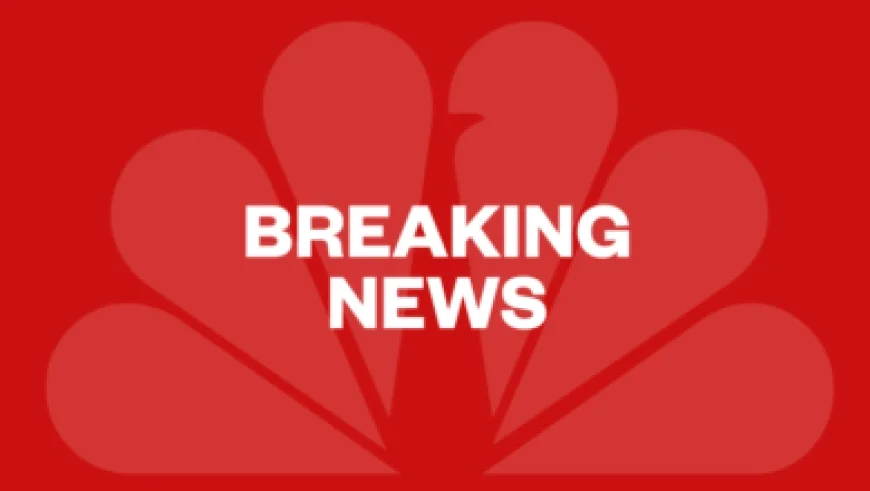 La Sagrada Familia Reaches New Heights: Completes Its Tallest Tower at 172.5 Meters