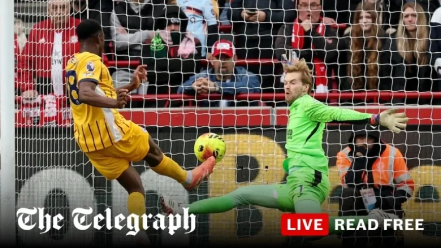 Live Premier League Scores and Updates from 3 PM Matches