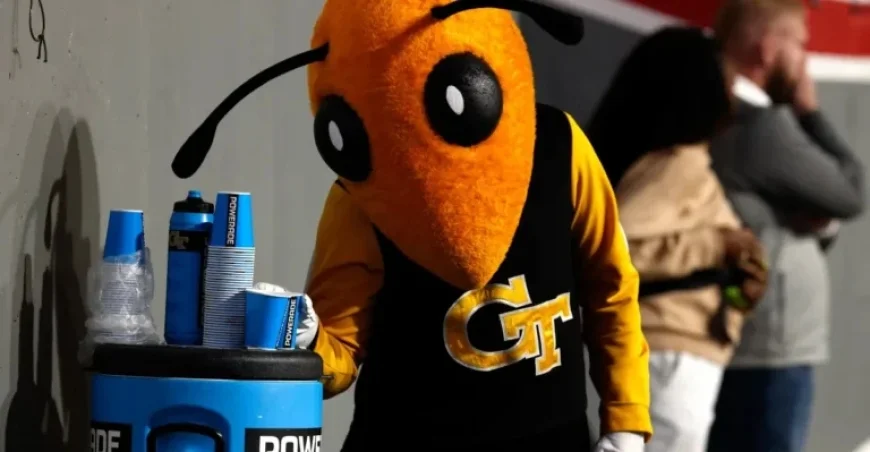 Louisville Battles Georgia Tech: Game Preview