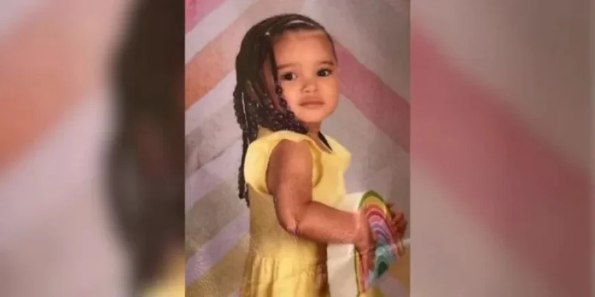 Police Launch Search for Missing 3-Year-Old Girl in Avondale