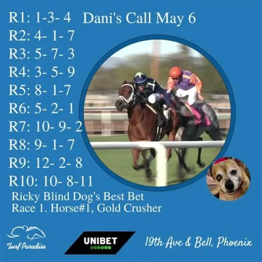 Watch Live Turf Paradise Races on IHipica TV