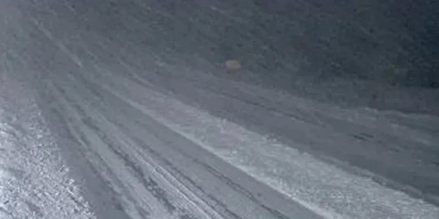 Avalon Faces Renewed Burials Amid High Winds and Major Disruptions